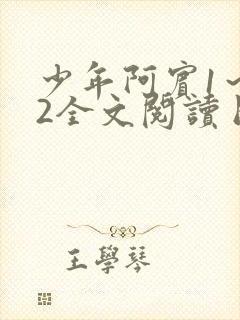 少年阿宾1～72全文阅读目录