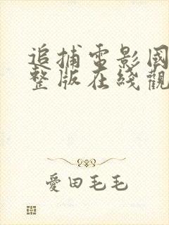 追捕电影国语完整版在线观看免费封面