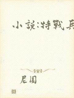 小说:特战兵王