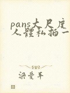 pans大尺度人体私拍一区封面
