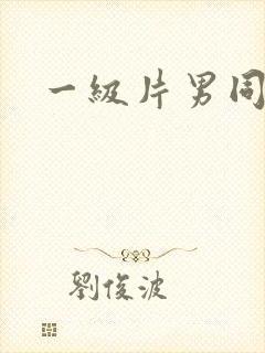 一级片男同性恋封面