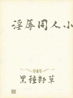 淫辱同人小说封面