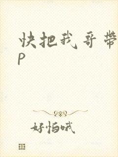 快把我哥带走cp封面