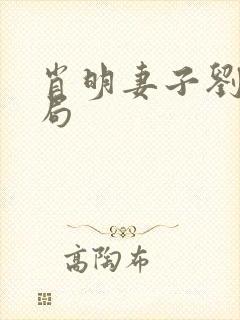 肖明妻子刘婷结局封面