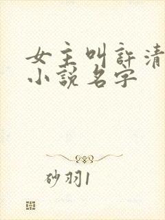 女主叫许清欢的小说名字