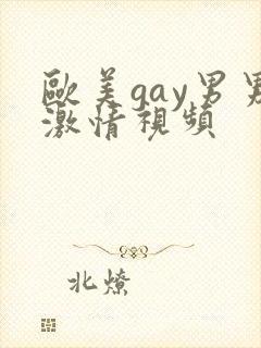 欧美gay男男激情视频