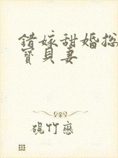 错嫁甜婚总裁的宝贝妻