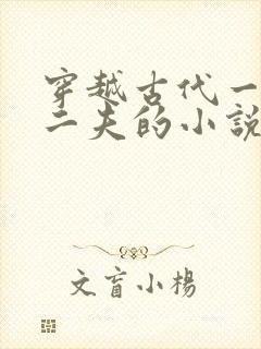 穿越古代一女嫁二夫的小说
