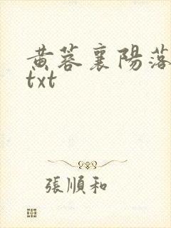 黄蓉襄阳落难记txt