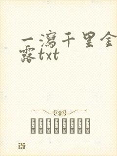 一泻千里金银花露txt