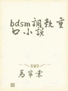 bdsm调教重口小说封面