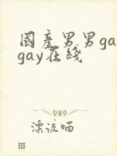 国产男男gaygay在线