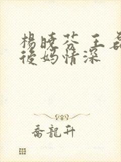 杨晓芬 王磊 后妈情深