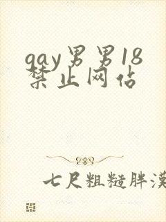 gay男男18禁止网站