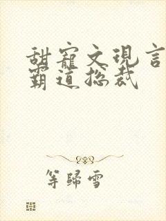 甜宠文现言推荐霸道总裁