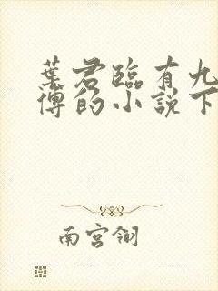 叶君临有九个师傅的小说下载