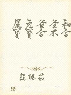 属兔爸爸和属龙宝宝合不合封面