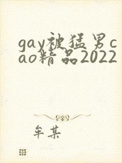 gay被猛男cao精品2022封面