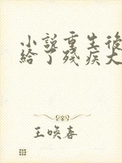 小说重生后我嫁给了残疾大佬封面