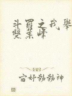 斗罗之我举世无双叶峰