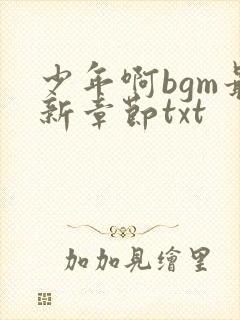 少年啊bgm最新章节txt