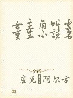 女主角叫云初的重生小说名封面