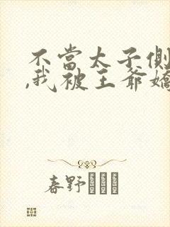 不当太子侧妃后,我被王爷娇宠了短剧