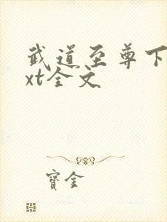 武道至尊下载txt全文