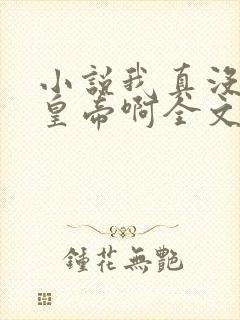 小说我真没想当皇帝啊全文