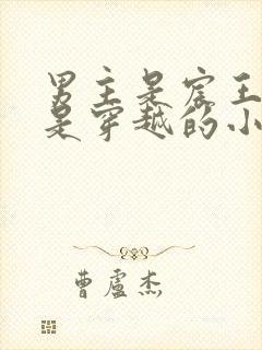 男主是宸王女主是穿越的小说
