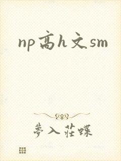 np高h文sm