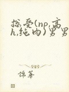 总受(np,高h,纯肉)男男