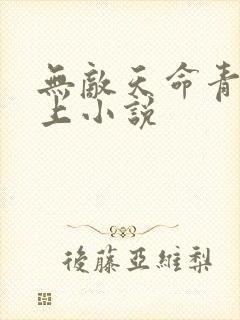 无敌天命青鸾峰上小说
