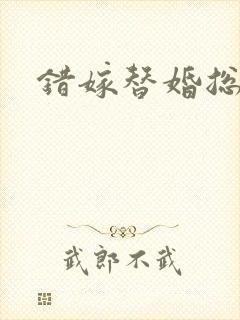 错嫁替婚总裁