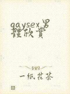 gaysex男体欣赏