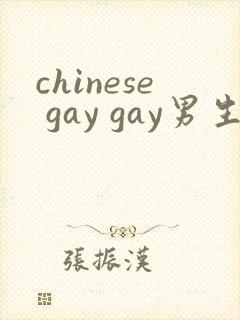 chinese gay gay男生互操网站