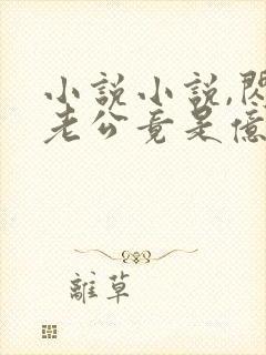 小说小说,闪婚老公竟是亿万总裁