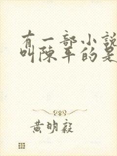 有一部小说主角叫陈平的是什么小说