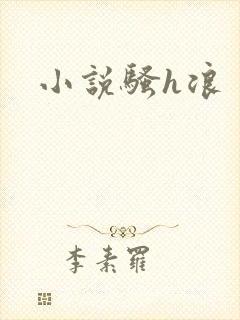 小说骚h浪