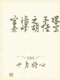 官场之手眼通天秦峰胡佳云的小说超前更新