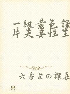 一级黄色录像影片夫妻性生活