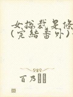 女总裁是条骚狗(完结番外)笔趣阁双男封面