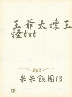 王爷太坏王妃太怪txt