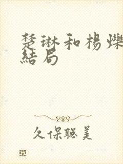 楚琳和杨烁最后结局