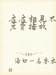 夜夜相见不识君免费播放