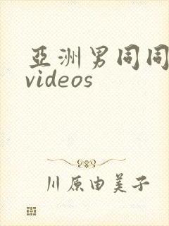 亚洲男同同性恋videos