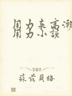 用力来高潮了再用力小说