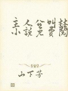 主人公叫林辰的小说免费阅读