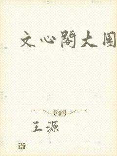 文心阁大团结封面