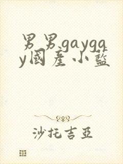 男男gaygay国产小蓝封面
